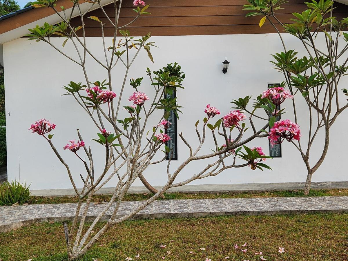 Apartamento Halcyon Days @ Langkawi Pantai Cenang  Exterior foto